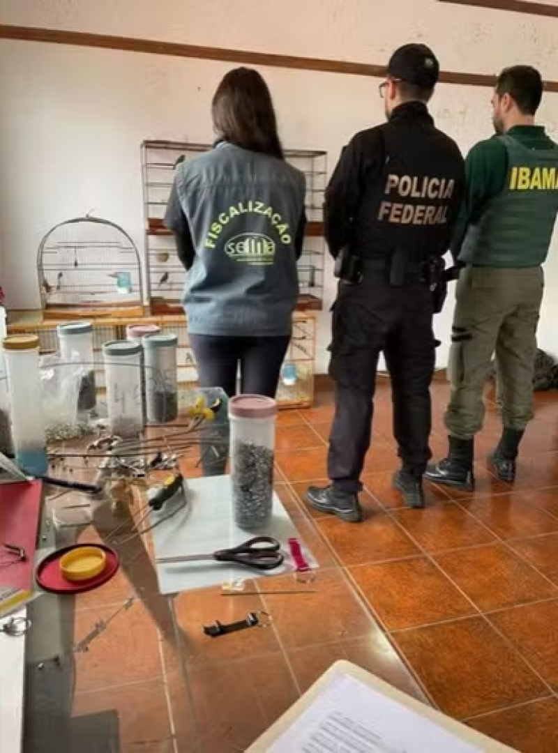 Servidores do Ibama são afastados por suspeita de desvio de aves em recuperação para criadores 