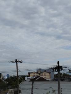 Quinta-feira deve ser de sol entre nuvens em todo o Rio Grande do Sul