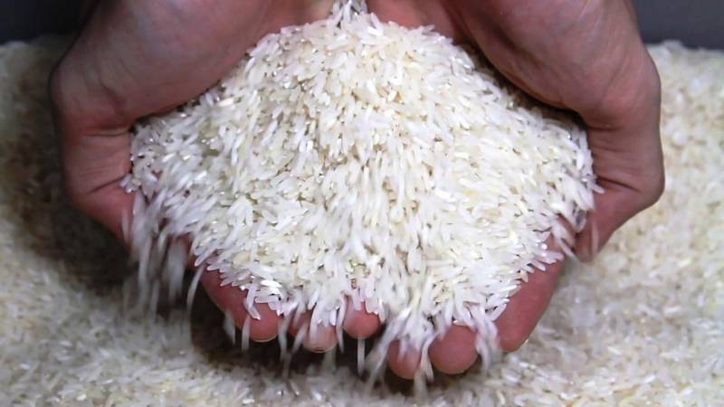 Polícia Federal abre investigação sobre leilão de arroz