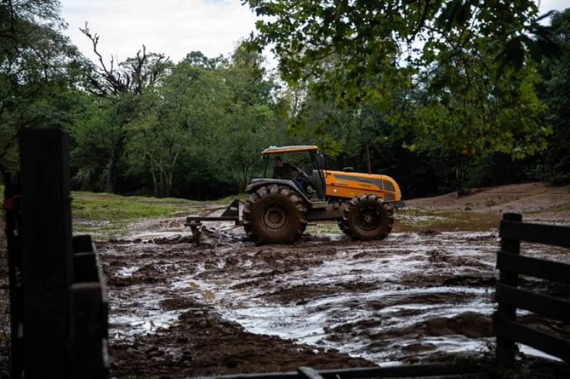 Banrisul anuncia Plano Safra de R$ 12,2 bilhões com foco na recuperação agropecuária