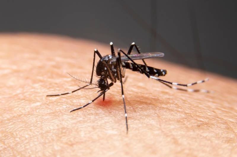 Casos de dengue no inverno de 2024 já supera total registrado no mesmo período de 2023 no RS