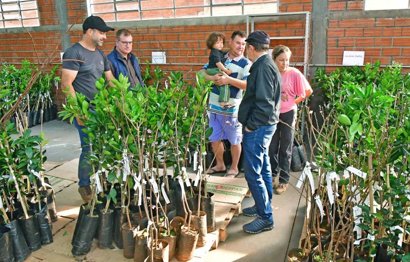 SDR entrega mais de 1,6 mil mudas frutíferas