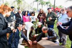 Plantio de mudas de erva-mate celebra união de países produtores