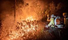 Brasil teve 11,39 milhões de hectares atingidos pelo fogo este ano