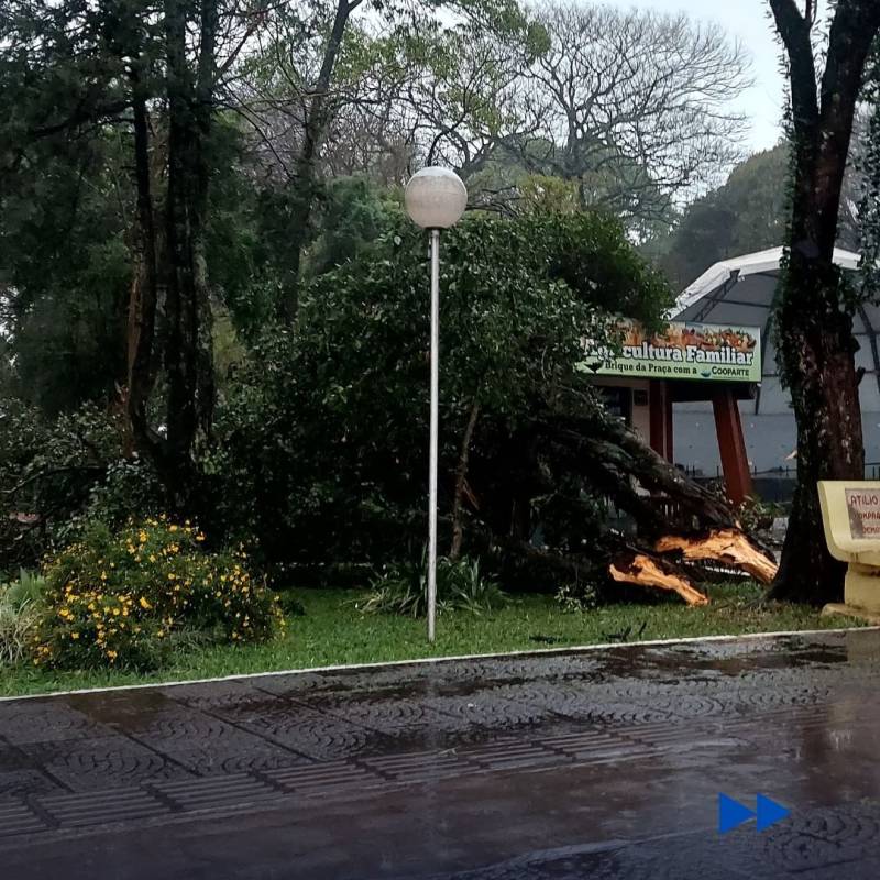 Temporal provoca mais de 40 destelhamentos em São Luiz Gonzaga